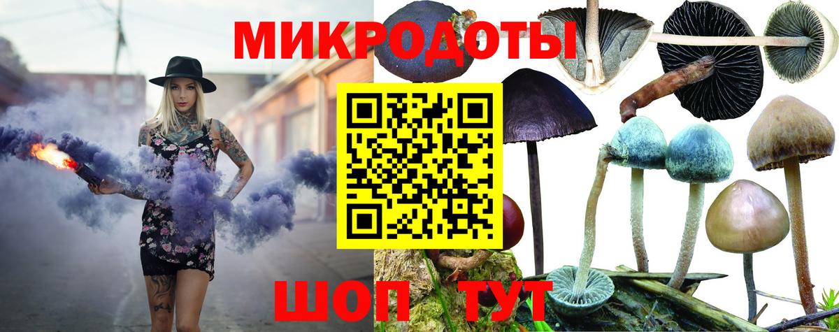 Карабулак  Псилоцибиновые грибы Magic Shrooms  купить наркотик  Вход с VPN 
